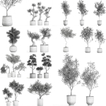 Collection of decorative trees 31 pieces