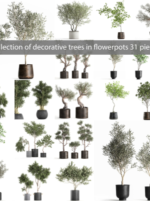 Collection of decorative trees 31 pieces