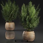 Collection of plants in pots for street and interior decor