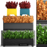 Collection of plants in pots for street and interior decor
