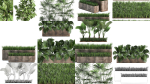 Collection of plants in pots for street and interior decor