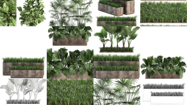 Collection of plants in pots for street and interior decor