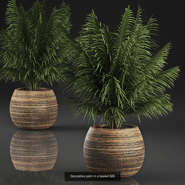 Collection of plants in pots for street and interior decor