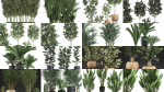 Collection of plants in pots for street and interior decor