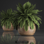 Collection of plants in pots for street and interior decor