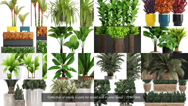 Collection of plants in pots for street and interior decor