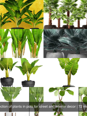 collection-of-plants-in-pots-for-street-and-interior-decor-3d-model-2184b9a178