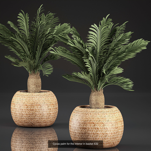 Collection of plants in pots for street and interior decor