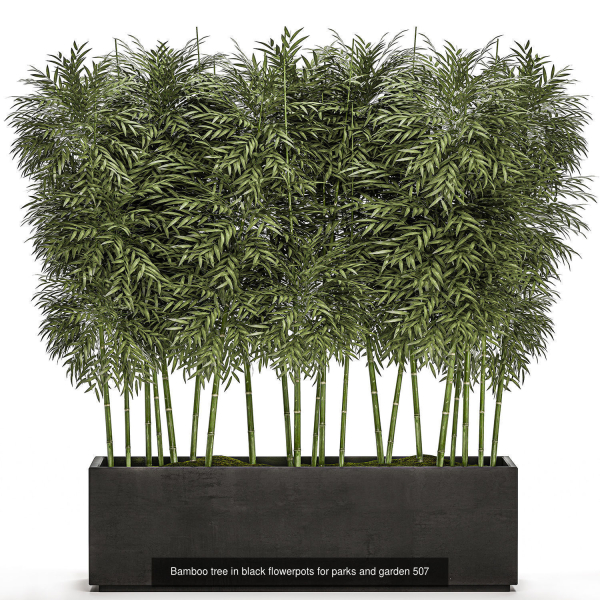 Collection of plants in pots for street and interior decor