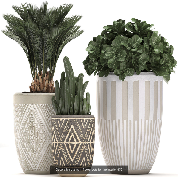 Collection of plants in pots for street and interior decor