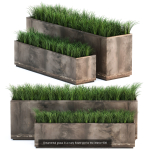 Collection of plants in pots for street and interior decor