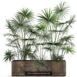 Collection of plants in pots for street and interior decor