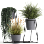 Collection of plants in pots for street and interior decor