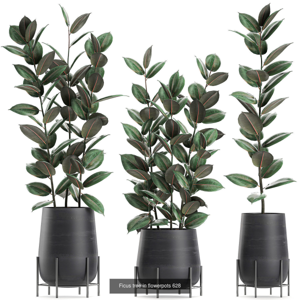 Collection of plants in pots for street and interior decor