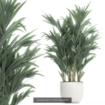 Collection of plants in pots for street and interior decor