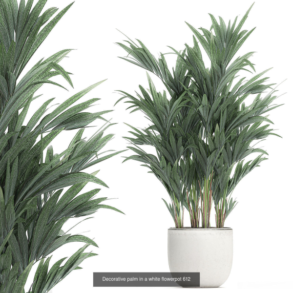 Collection of plants in pots for street and interior decor