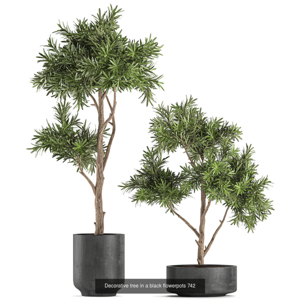 Collection of plants in pots for street and interior decor