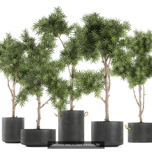 Collection of plants in pots for street and interior decor
