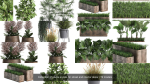 Collection of plants in pots for street and interior decor