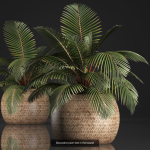 Collection of plants in pots for street and interior decor