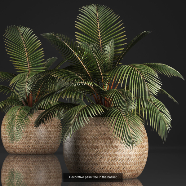 Collection of plants in pots for street and interior decor