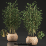 Collection of plants in pots for street and interior decor