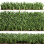 Collection of plants in pots for street and interior decor