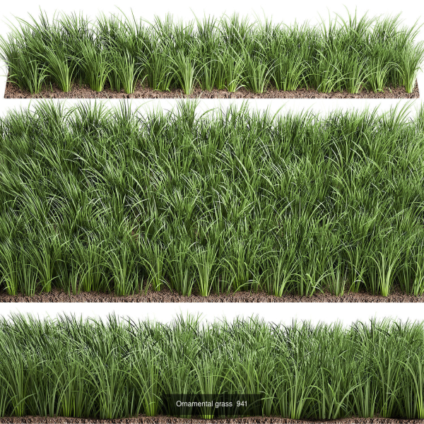 Collection of plants in pots for street and interior decor
