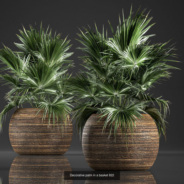 Collection of plants in pots for street and interior decor