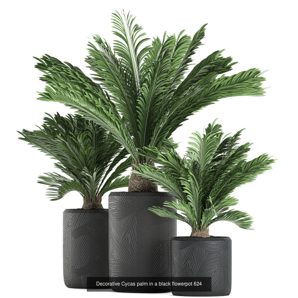 Collection of plants in pots for street and interior decor
