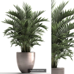 Collection of plants in pots for street and interior decor