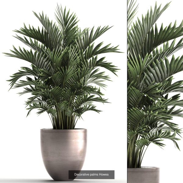 Collection of plants in pots for street and interior decor