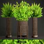 Collection of plants in pots for street and interior decor