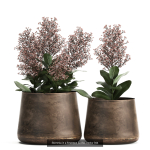 Collection of plants in pots for street and interior decor