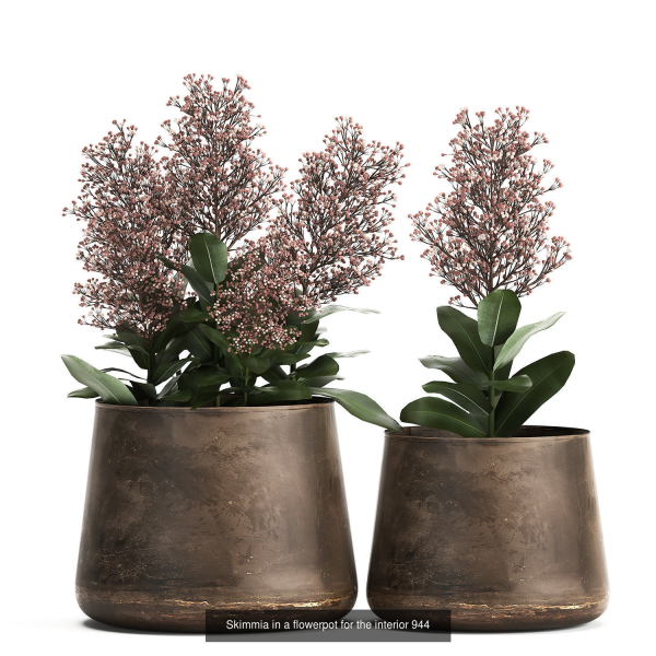 Collection of plants in pots for street and interior decor