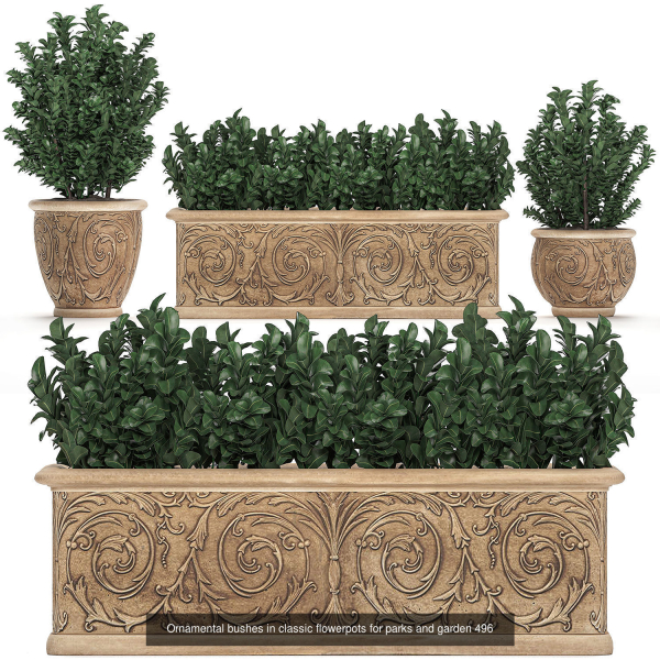 Collection of plants in pots for street and interior decor