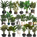 Collection of potted plants for the interior of 20 pieces NEW