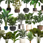 Collection of potted plants for the interior of 20 pieces NEW