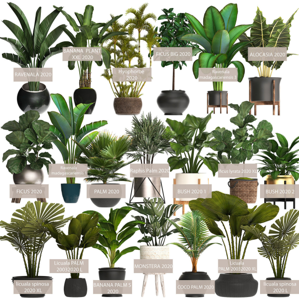 Collection of potted plants for the interior of 20 pieces NEW