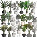Collection of potted plants for the interior of 20 pieces NEW