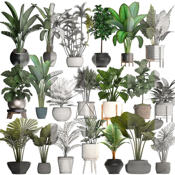 Collection of potted plants for the interior of 20 pieces NEW