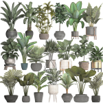 Collection of potted plants for the interior of 20 pieces NEW