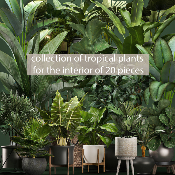 Collection of potted plants for the interior of 20 pieces NEW