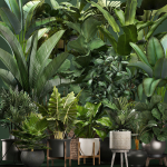 Collection of potted plants for the interior of 20 pieces NEW