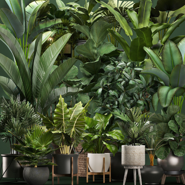 Collection of potted plants for the interior of 20 pieces NEW