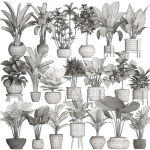 Collection of potted plants for the interior of 20 pieces NEW