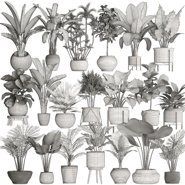 Collection of potted plants for the interior of 20 pieces NEW