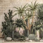 Collection of tropical desert plants cactus 1108A