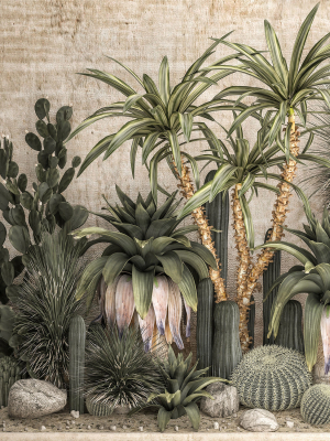 collection-of-tropical-desert-plants-1108a-3d-model-max-obj-fbx
