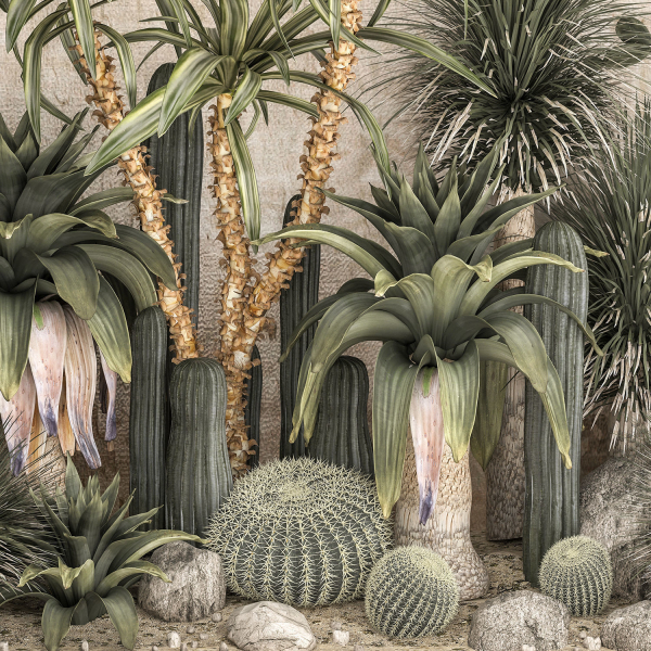 Collection of tropical desert plants cactus 1108A